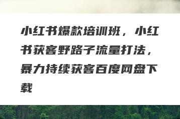 小红书爆款培训班，小红书获客野路子流量打法，暴力持续获客百度网盘下载