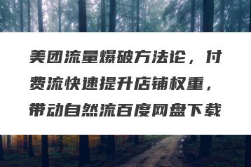 美团流量爆破方法论，付费流快速提升店铺权重，带动自然流百度网盘下载