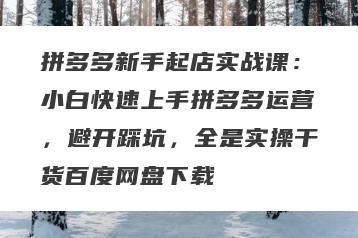 拼多多新手起店实战课：小白快速上手拼多多运营，避开踩坑，全是实操干货百度网盘下载