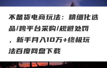 不备货电商玩法：精细化选品/跨平台采购/规避处罚，新手月入10万+终极玩法百度网盘下载
