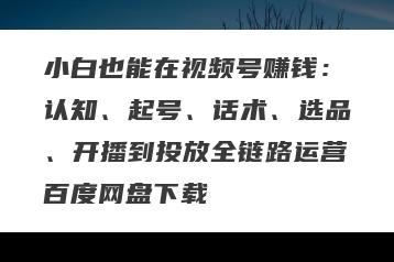 小白也能在视频号赚钱：认知、起号、话术、选品、开播到投放全链路运营百度网盘下载