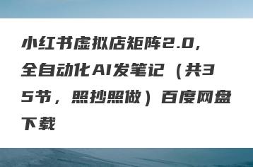 小红书虚拟店矩阵2.0,全自动化AI发笔记（共35节，照抄照做）百度网盘下载