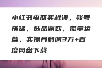 小红书电商实战课，账号搭建，选品测款，流量运营，实操月利润3万+百度网盘下载