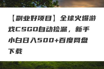 【副业好项目】全球火爆游戏CSGO自动捡漏，新手小白日入500+百度网盘下载