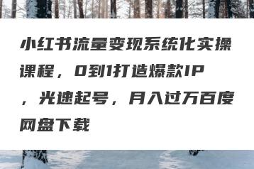 小红书流量变现系统化实操课程，0到1打造爆款IP，光速起号，月入过万百度网盘下载
