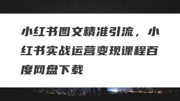 小红书图文精准引流，小红书实战运营变现课程百度网盘下载