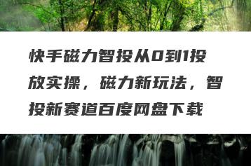 快手磁力智投从0到1投放实操，磁力新玩法，智投新赛道百度网盘下载