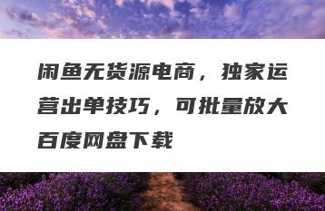 闲鱼无货源电商，独家运营出单技巧，可批量放大百度网盘下载