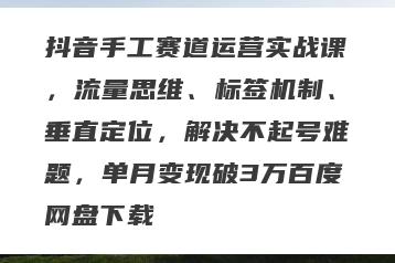 抖音手工赛道运营实战课，流量思维、标签机制、垂直定位，解决不起号难题，单月变现破3万百度网盘下载