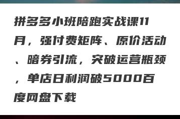 拼多多小班陪跑实战课11月，强付费矩阵、原价活动、暗券引流，突破运营瓶颈，单店日利润破5000百度网盘下载