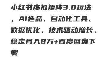 小红书虚拟矩阵3.0玩法，AI选品、自动化工具、数据优化，技术驱动增长，稳定月入8万+百度网盘下载