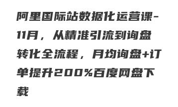 阿里国际站数据化运营课-11月，从精准引流到询盘转化全流程，月均询盘+订单提升200%百度网盘下载