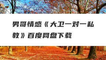 男哥情感《大卫一对一私教》百度网盘下载