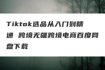 Tiktok选品从入门到精通 跨境无疆跨境电商百度网盘下载