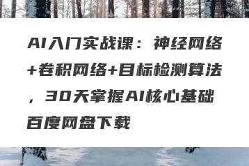 AI入门实战课：神经网络+卷积网络+目标检测算法，30天掌握AI核心基础百度网盘下载