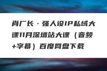 肖厂长·强人设IP私域大课11月深圳站大课（音频+字幕）百度网盘下载