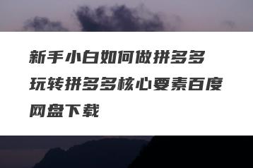 新手小白如何做拼多多 玩转拼多多核心要素百度网盘下载