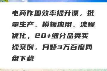电商作图效率提升课，批量生产、模板应用、流程优化，20+细分品类实操案例，月赚3万百度网盘下载