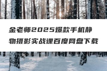 金老师2025爆款手机静物摄影实战课百度网盘下载