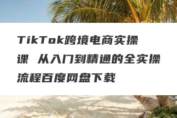TikTok跨境电商实操课 从入门到精通的全实操流程百度网盘下载
