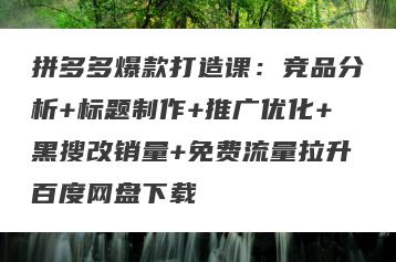 拼多多爆款打造课：竞品分析+标题制作+推广优化+黑搜改销量+免费流量拉升百度网盘下载