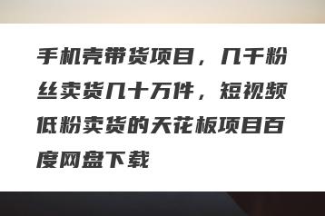 手机壳带货项目，几千粉丝卖货几十万件，短视频低粉卖货的天花板项目百度网盘下载