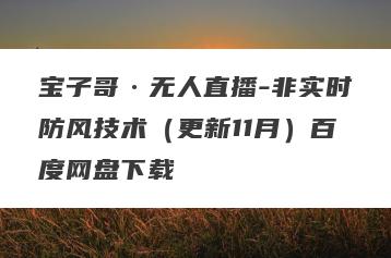 宝子哥·无人直播-非实时防风技术（更新11月）百度网盘下载