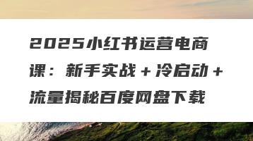 2025小红书运营电商课：新手实战＋冷启动＋流量揭秘百度网盘下载