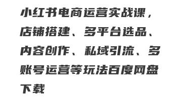 小红书电商运营实战课，店铺搭建、多平台选品、内容创作、私域引流、多账号运营等玩法百度网盘下载