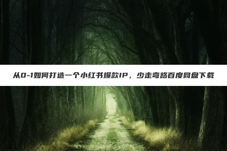 从0-1如何打造一个小红书爆款IP，少走弯路百度网盘下载