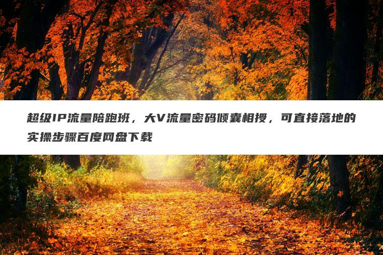 超级IP流量陪跑班，大V流量密码倾囊相授，可直接落地的实操步骤百度网盘下载
