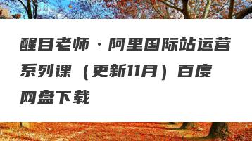 醒目老师·阿里国际站运营系列课（更新11月）百度网盘下载