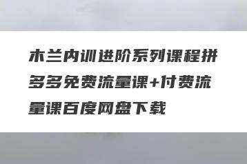 木兰内训进阶系列课程拼多多免费流量课+付费流量课百度网盘下载