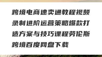 跨境电商速卖通教程视频录制进阶运营策略爆款打造方案与技巧课程劳伦斯跨境百度网盘下载