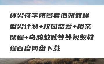 坏男孩学院多套泡妞教程 型男计划+校园恋爱+相亲课程+乌鸦救赎等等视频教程百度网盘下载