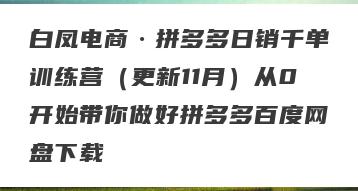白凤电商·拼多多日销千单训练营（更新11月）从0开始带你做好拼多多百度网盘下载