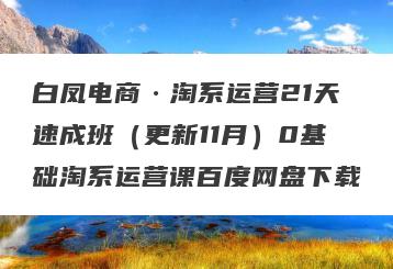白凤电商·淘系运营21天速成班（更新11月）0基础淘系运营课百度网盘下载