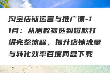 淘宝店铺运营与推广课-11月：从测款筛选到爆款打爆完整流程，提升店铺流量与转化效率百度网盘下载