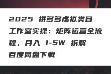 2025 拼多多虚拟类目工作室实操：矩阵运营全流程，月入 1-5W 拆解百度网盘下载