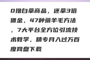 0撸白拿商品，还拿3倍佣金，47种薅羊毛方法，7大平台全方位引流技术教学，精专月入过万百度网盘下载