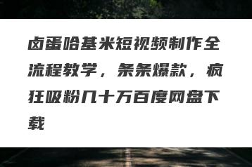 卤蛋哈基米短视频制作全流程教学，条条爆款，疯狂吸粉几十万百度网盘下载