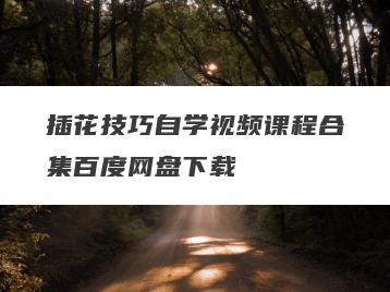 插花技巧自学视频课程合集百度网盘下载