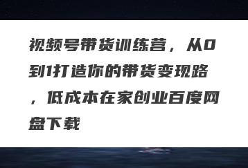 视频号带货训练营，从0到1打造你的带货变现路，低成本在家创业百度网盘下载