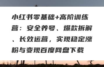 小红书零基础+高阶训练营：安全养号、爆款拆解、长效运营，实现稳定涨粉与变现百度网盘下载