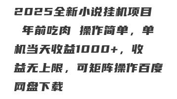 2025全新小说挂机项目 年前吃肉 操作简单，单机当天收益1000+，收益无上限，可矩阵操作百度网盘下载