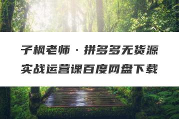 子枫老师·拼多多无货源实战运营课百度网盘下载