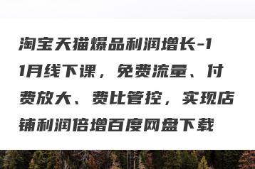 淘宝天猫爆品利润增长-11月线下课，免费流量、付费放大、费比管控，实现店铺利润倍增百度网盘下载
