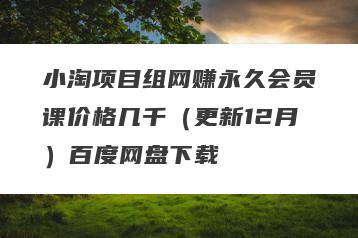 小淘项目组网赚永久会员课价格几千（更新12月）百度网盘下载