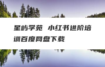 星屿学苑 小红书进阶培训百度网盘下载