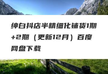 绅白抖店半精细化铺货1期+2期（更新12月）百度网盘下载